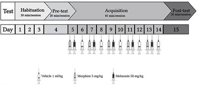 Melatonin Blocks Morphine-Induced Place Preference: Involvement of GLT-1, NF-κB, BDNF, and CREB in the Nucleus Accumbens